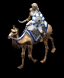 camel.jpg (12763 bytes)